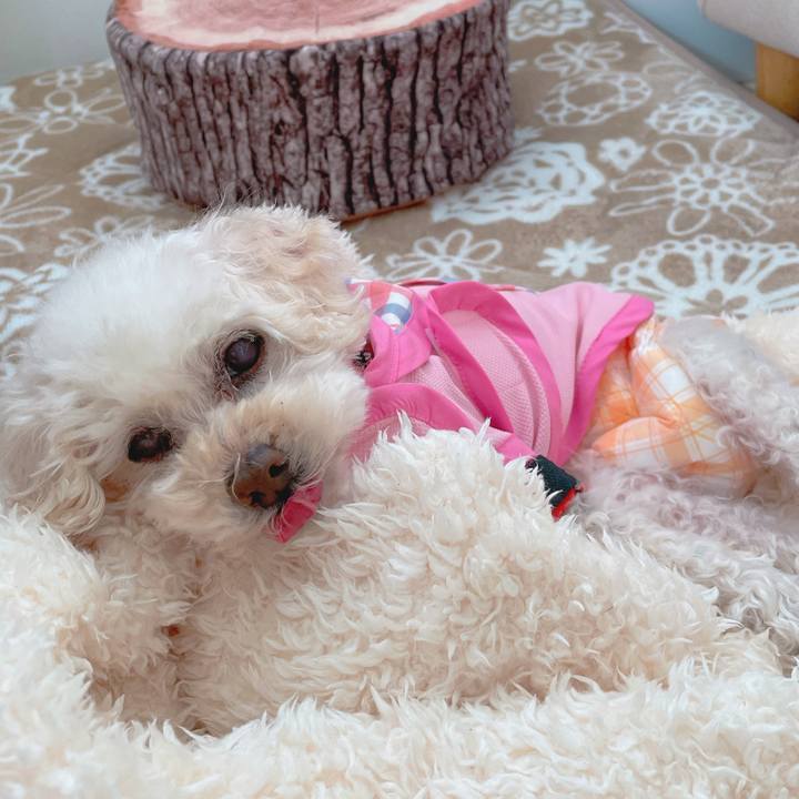 6dc42ff6 7c50 4356 b6d3 c701b0a5a151 1683267427049