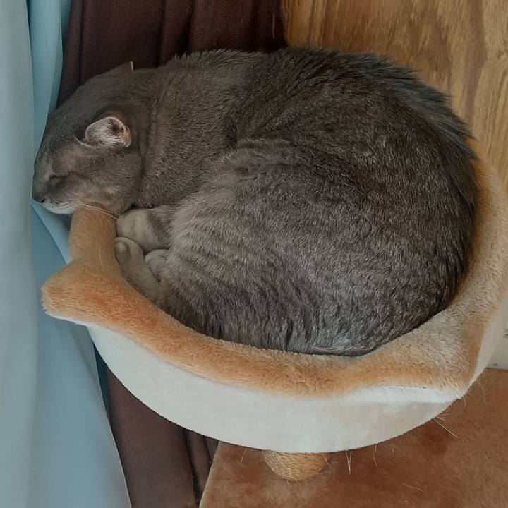 6dc43451 23fb 40b4 8b4b f567cb3250b1 1670634460368