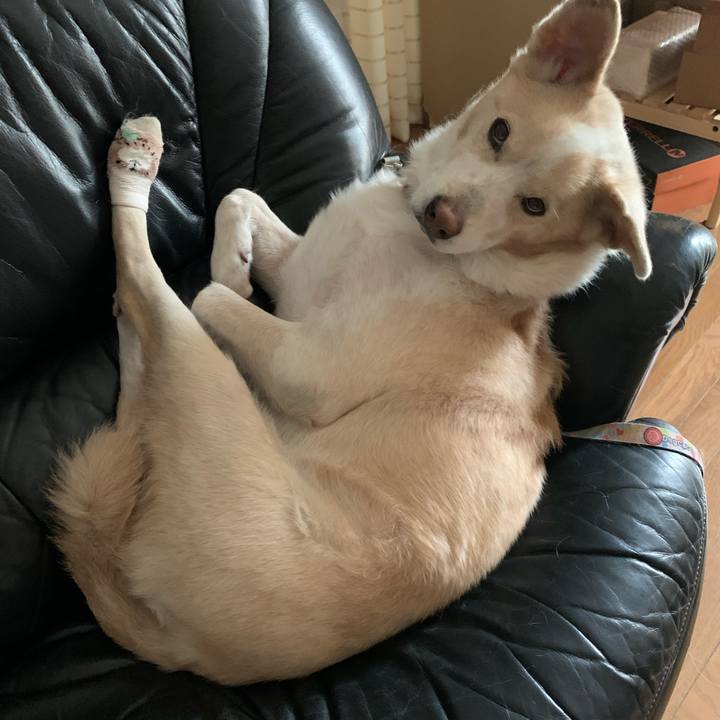 6dc43567 9bf7 4e8e a317 3d403a666782 1607840667555