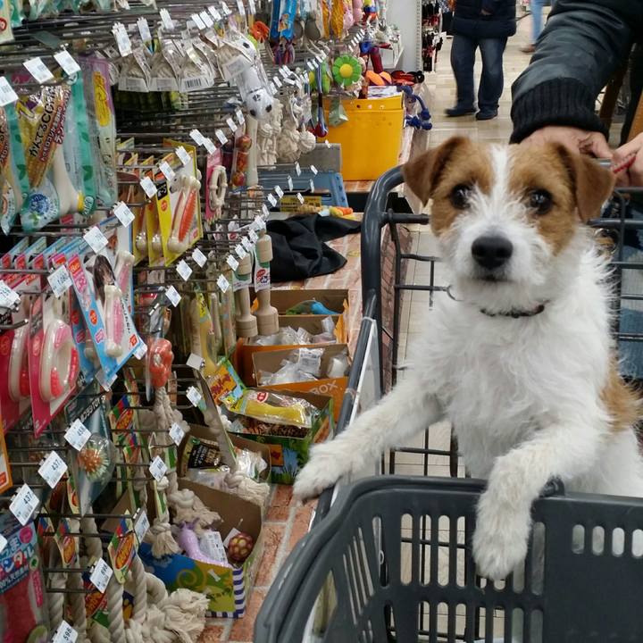 6dc44709 d1b8 4042 ae0d bc089d7e31aa 1519463269612