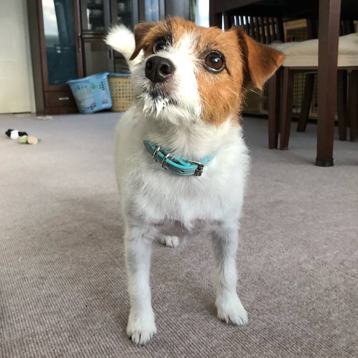 6dc47696 5ab8 4fba a928 4ad584f06927 1534452288685