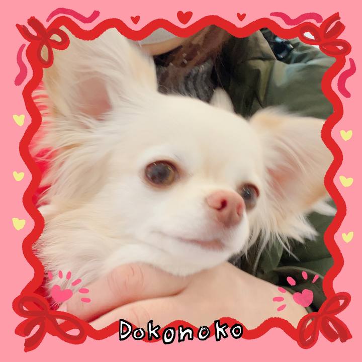 6dc4847e 390c 4064 b208 3998463b09be 1706842065424