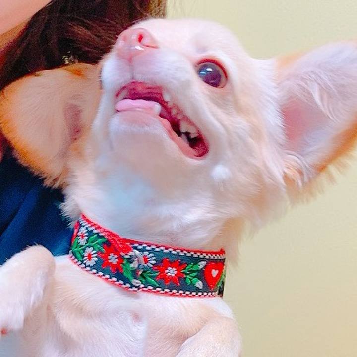 6dc49ad9 ea11 4a42 865f e82a72f590d1 1629351077918