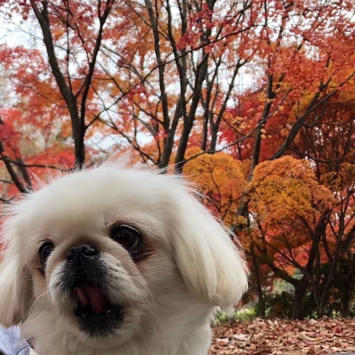 6dc4c625 f5af 4b35 8854 311430587981 1541400294804