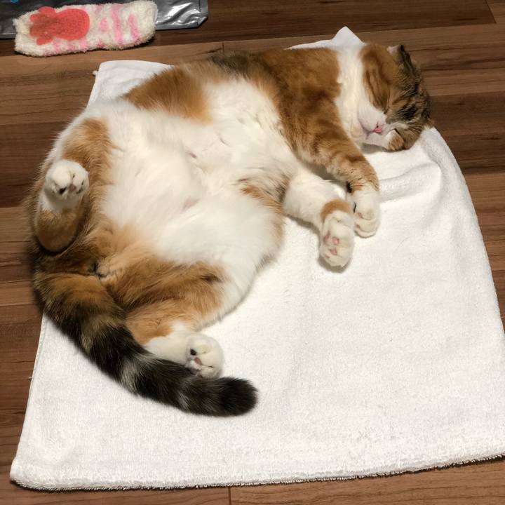 6dc4e764 3bd1 428b afb4 e649b5c87fd7 1601901461253