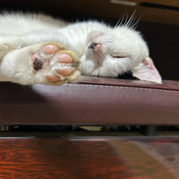 6dc4f150 87e8 4848 a2c1 6ccfe0810ea6 1757376365804