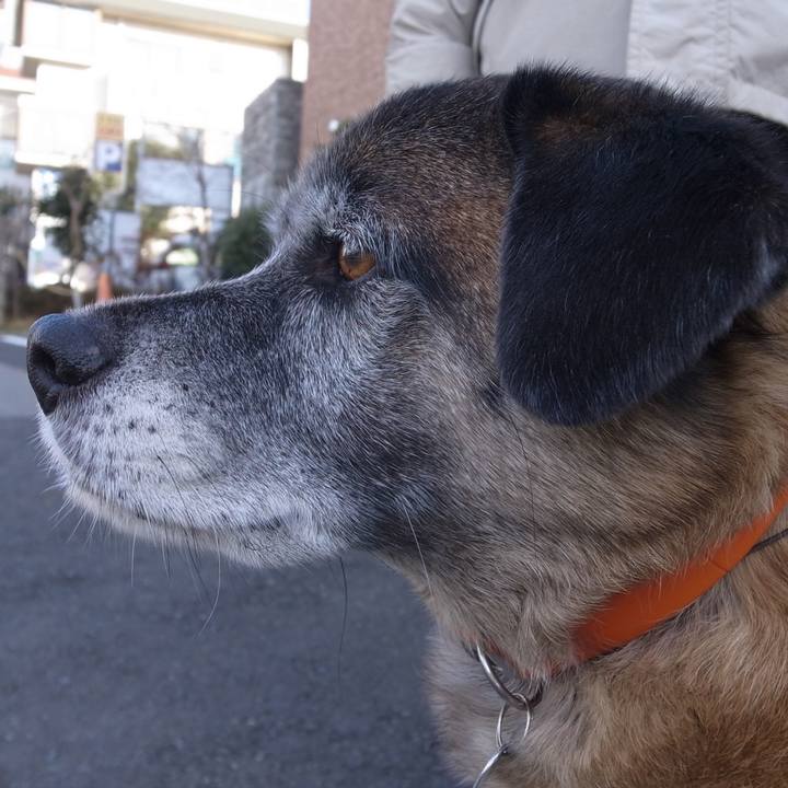 6dc5e34b af14 4337 962e f5ee2d96f250 1595980517407