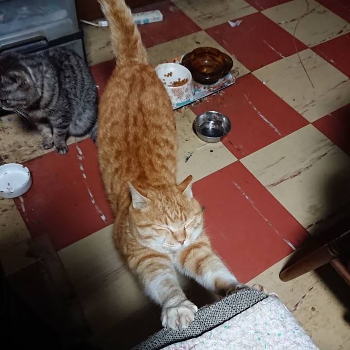 6dc5e65a 97e7 41ef 8d84 1e8783cb237a 1582105174621