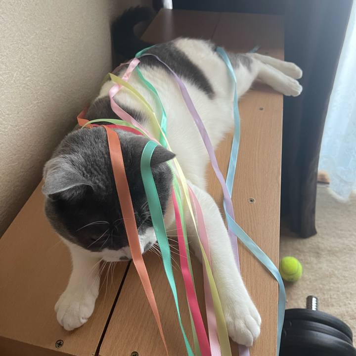 6dc5e682 0294 464f a1e4 f78195307083 1659084328045