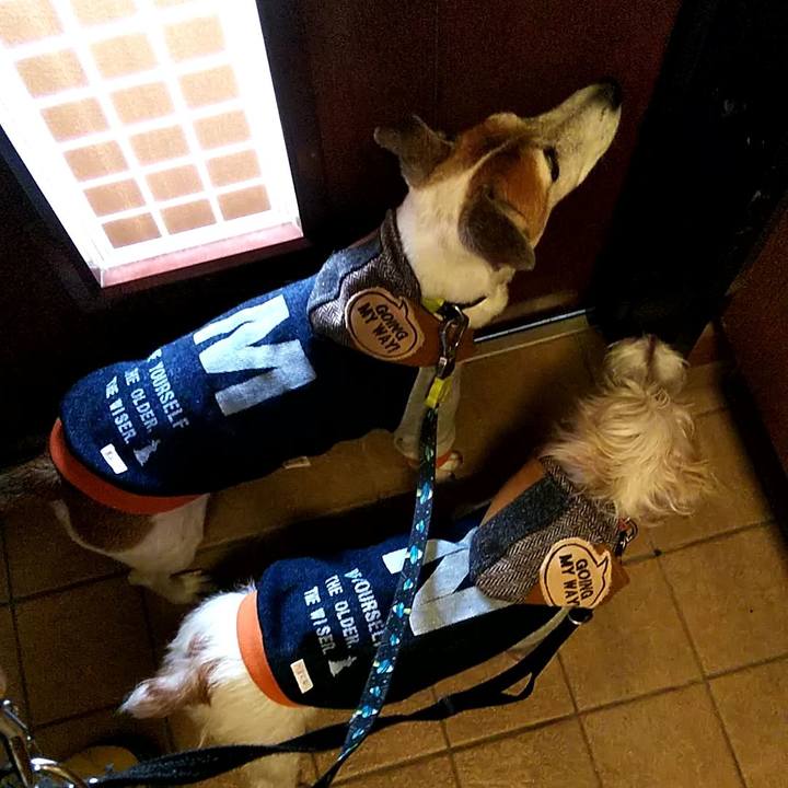 6dc5eb26 4e38 4fdd 86dd a21e63811b84 1540616853893