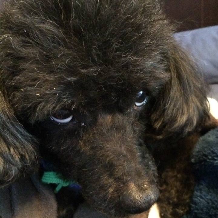 6dc607b2 0155 479e 9137 7a57d582d0d5 1553250569445