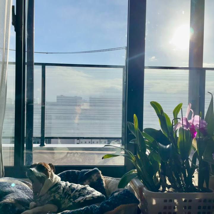 6dc63124 7c27 4670 9d44 222341b3ca74 1738624768892