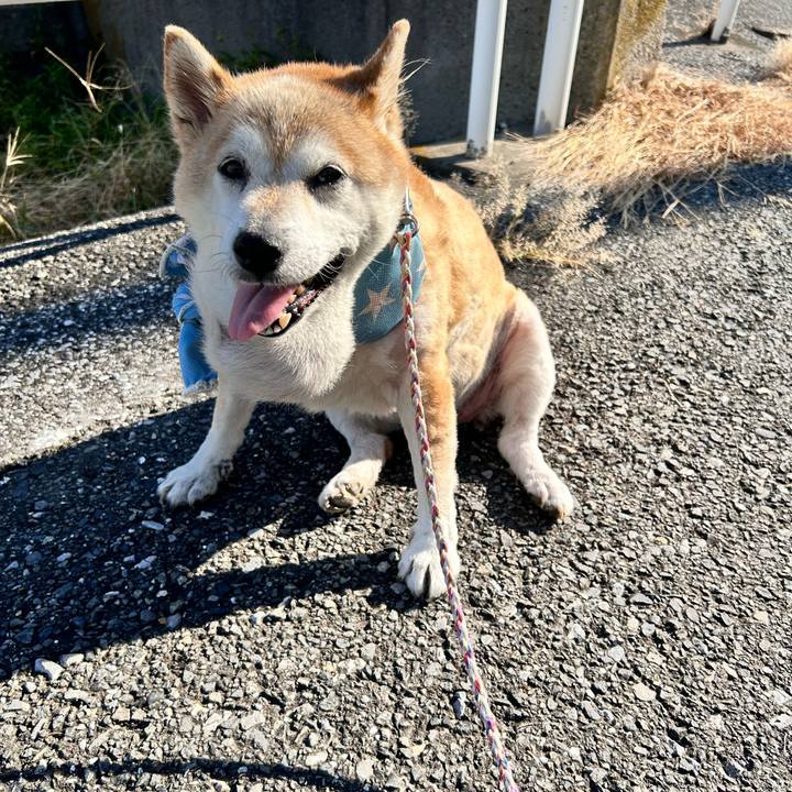 6dc674fe 8fd1 436e bc04 4ecb0ba20e8f 1755212158640