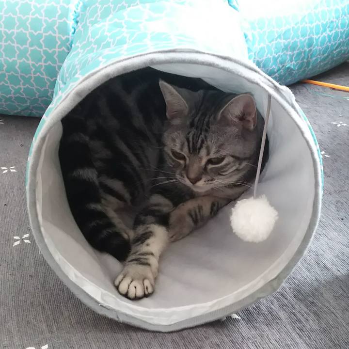 6dc699cd e2e3 494d ac91 52964cfca516 1578883134552