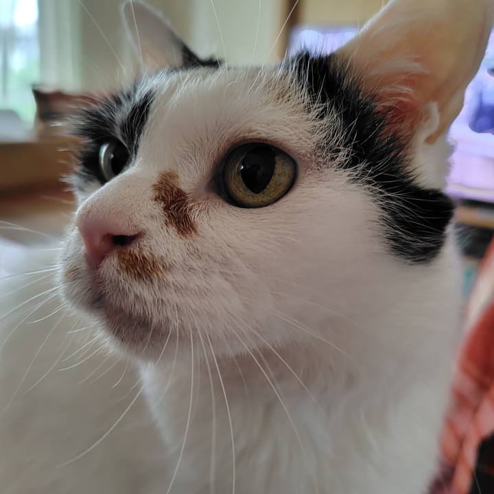 6dc6a0f8 e6f7 4e60 8007 346d92c0ed3b 1719185717440