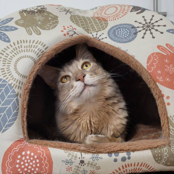 6dc6d066 84ad 4898 b9eb 8b4ecb61decb 1647917787131