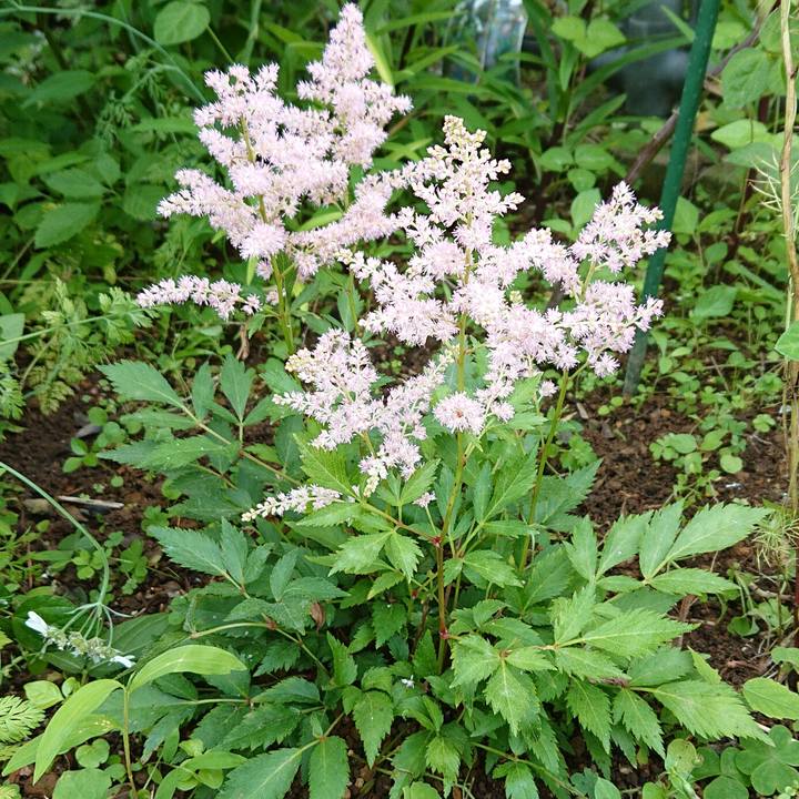 6dc6dbbd 0647 48eb 8ead a9be7291ffc5 1654054591816