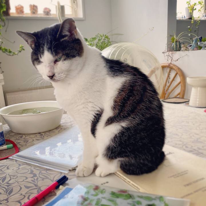 6dc73cca 2d1d 4bb7 9adf af37780a14a1 1588041871593