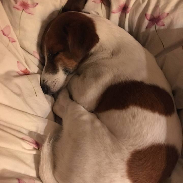 6dc75e42 02cc 4937 909f db381870378d 1511272414250