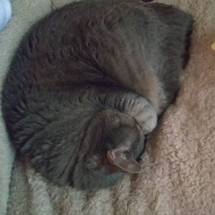 6dc789fd c3fc 428b 84e0 3abde4deb317 1652055169585