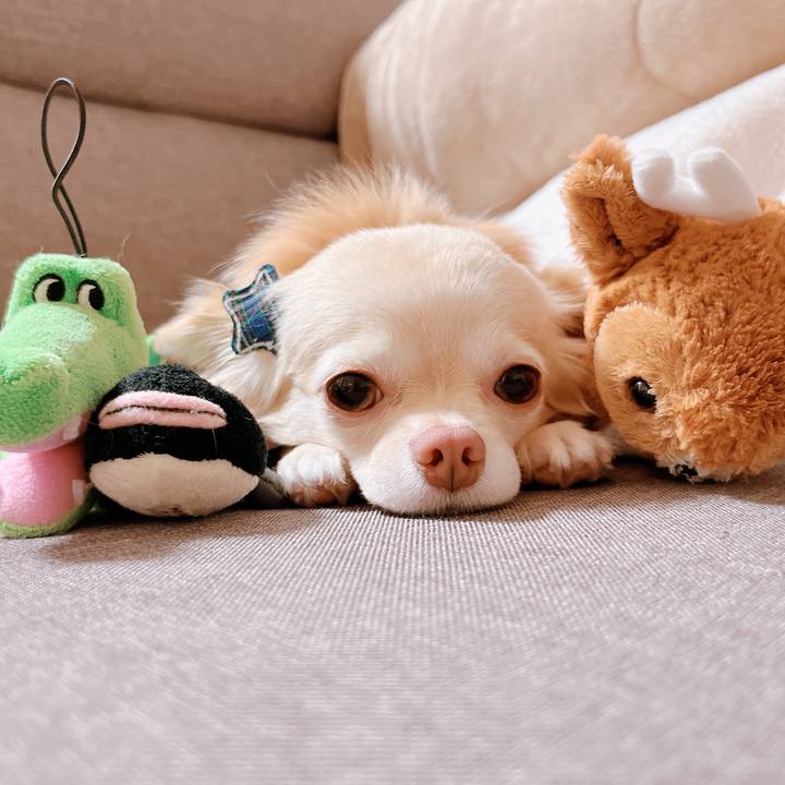 6dc79a9b edb4 479f 875f 42b0267c4851 1658201685985