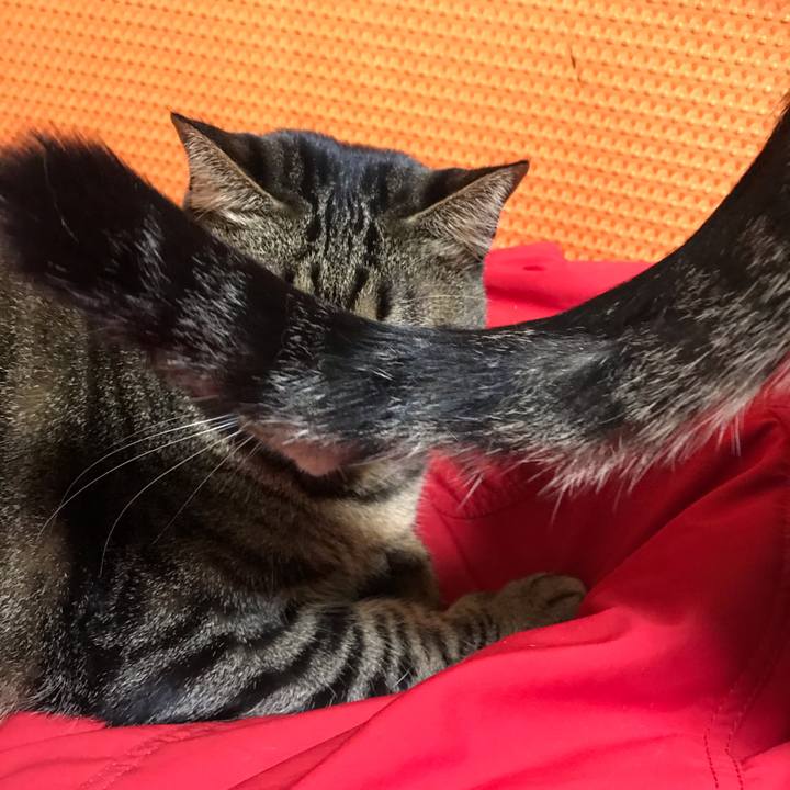 6dc7a40c b5fb 437b a00f 06f64875cbe0 1580230836970