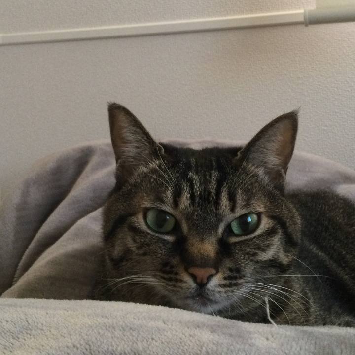 6dc7c5c5 c921 4175 8301 39c663b5008a 1644305452253