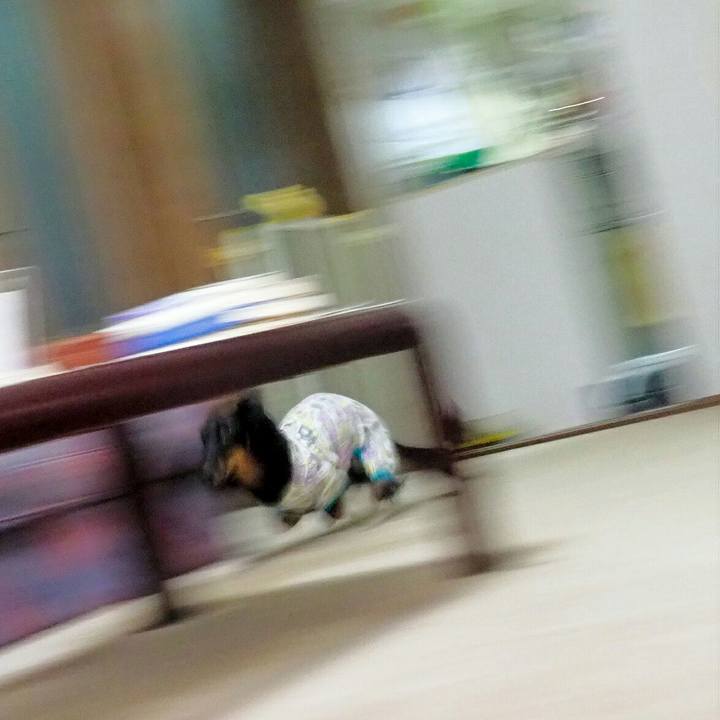 6dc7e5ca 5ae5 4103 be5e d6933c5880d7 1537319238061