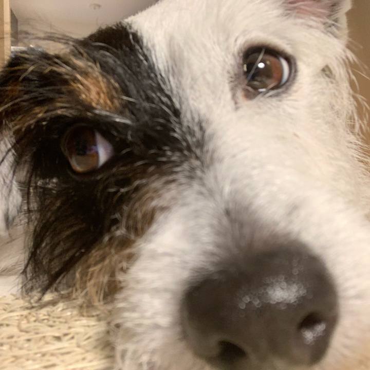 6dc84d7a d607 48fe 8bb1 9a4f1075949d 1588589583108