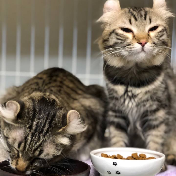 6dc85a42 c5ea 4f87 bedf aa55f0fae00d 1517790142661