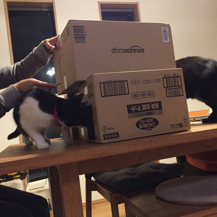 6dc871d7 93c5 4065 bb84 fcb9a892ca0e 1509968726974