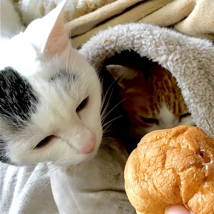 6dc8b81c a6ef 4e7d 90ab 71eb48648096 1604646599897