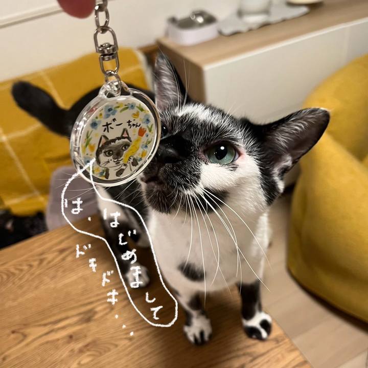 6dc8e4f0 d0ec 4ded a71c c8b1419ba184 1750337872622