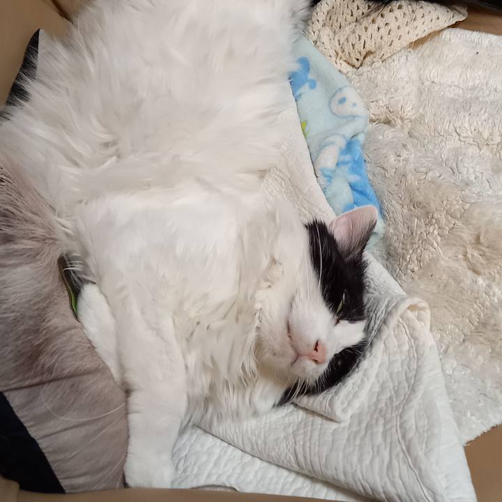 6dc8fe72 0b02 4265 a1ba aedc67b13703 1641417538810