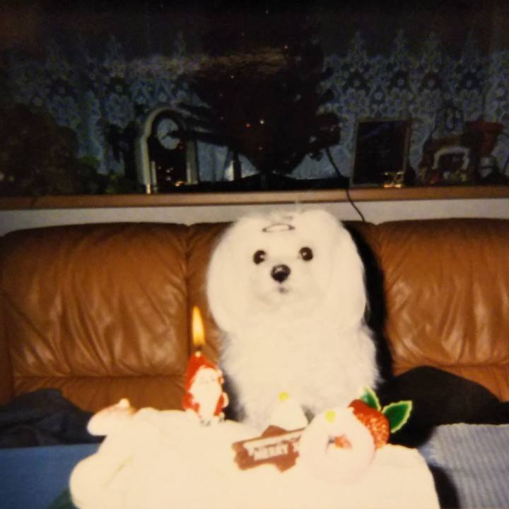 6dc946ec 05be 4333 97a9 7eed4a78d4c3 1540722887454