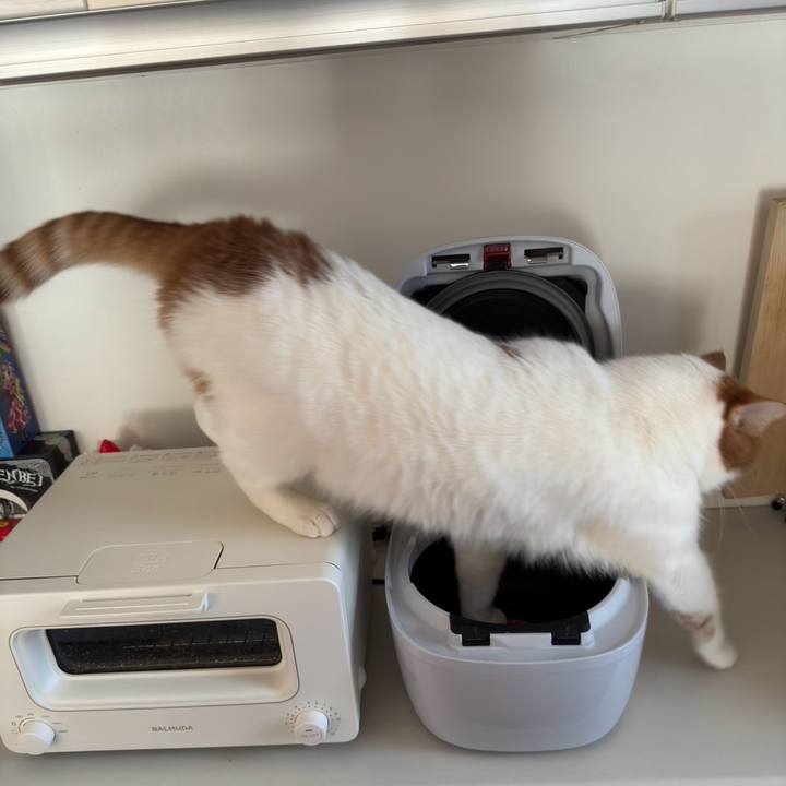 6dc95cc1 4955 40ff af1d a276691f29e0 1762851063446