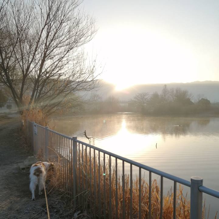 6dc9bf00 752f 4383 bb10 9599f7ee9ae7 1610687358716