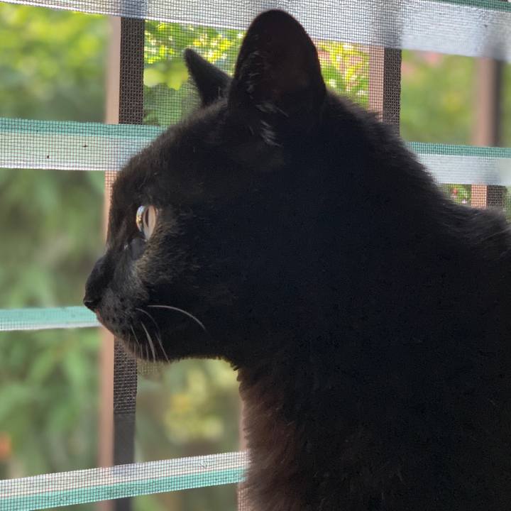 6dc9ea2a 5f8c 41e3 9c0d 6830b77a3562 1560817888659