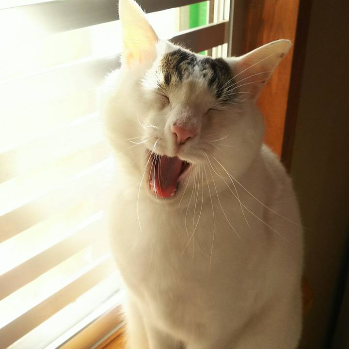 6dca0724 14f3 4fbb 9ce8 83aa264dc176 1521987203253