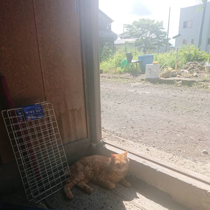 6dca1bce 9fb7 4a6c ad49 e43ad7098fad 1661069450666