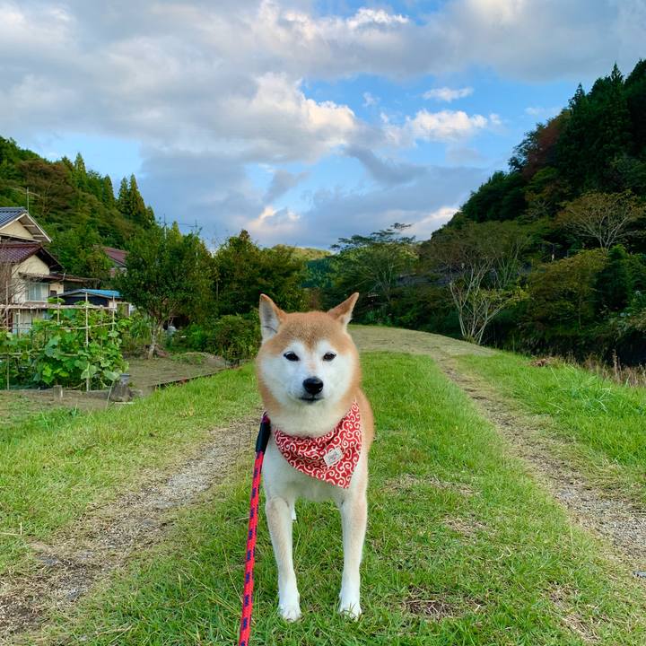 6dca1c65 5a23 4e29 bc39 5b85a212e2d7 1666862382788