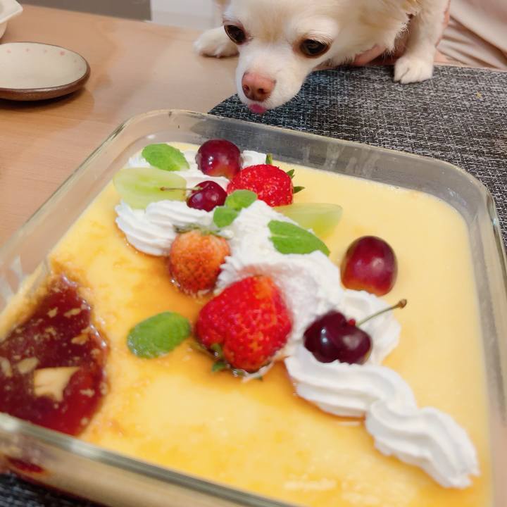 6dca4366 517e 4054 91a2 8e17411278e2 1716210461685