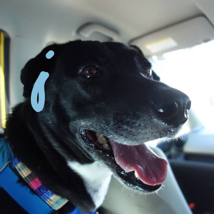 6dca704d 0a5a 47f6 b030 fbab234e3ef7 1636542741879