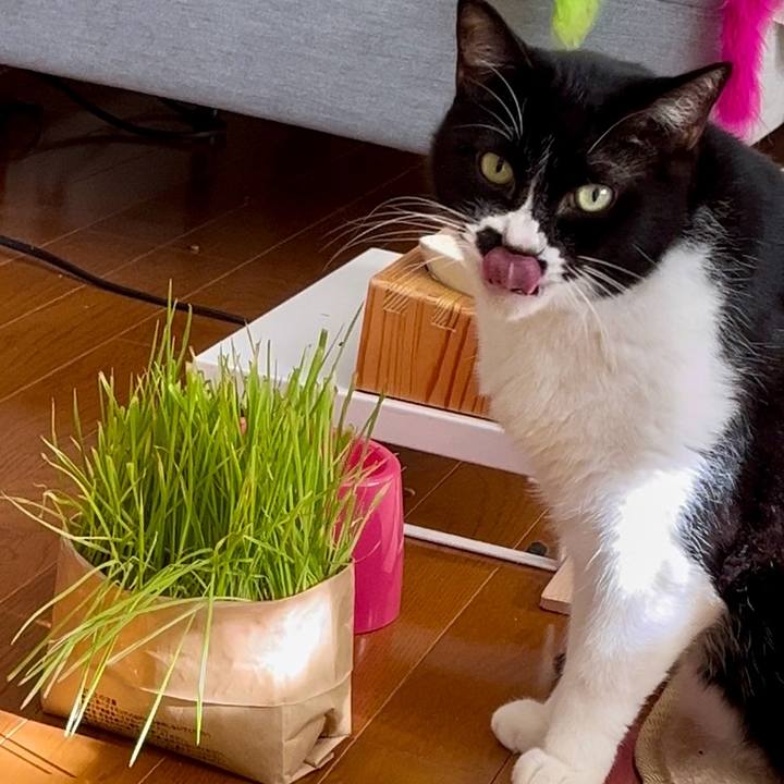 6dca7858 ad4b 4f40 9c74 764cc1d0ba30 1706263018060