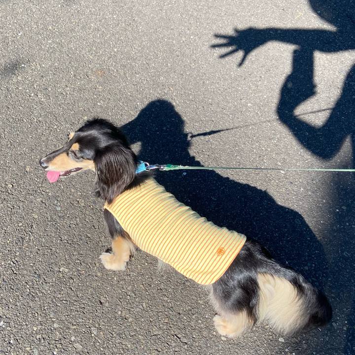 6dcaad0a f7e3 4c4c 88d3 b493495c87a3 1723415948232