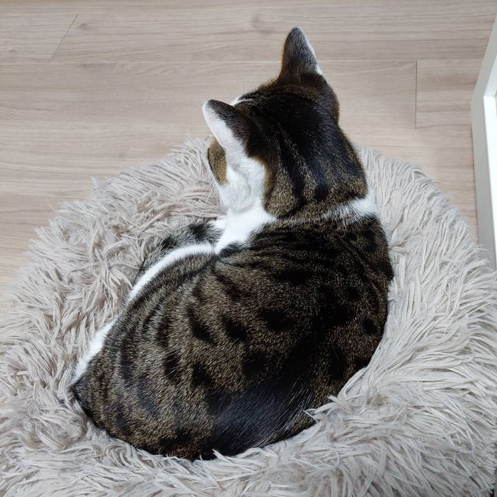 6dcac97d 1e6e 4369 b4be f9f2fbc09a8f 1709808963632