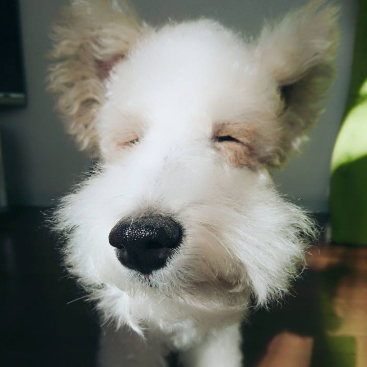 6dcafea3 81fc 417c baad fe9247d0d16a 1515642008837