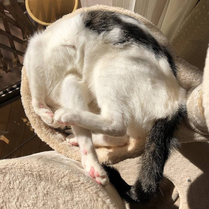 6dcb038d ec2d 4035 8773 b7d8f2ed3d41 1640660686347