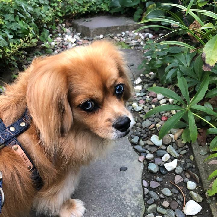 6dcb12fb 5c42 4591 859c 2cbb505550dd 1571782274967