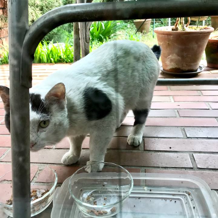 6dcb25ba 8d7e 4e77 8b08 98691e4a605c 1522306050614